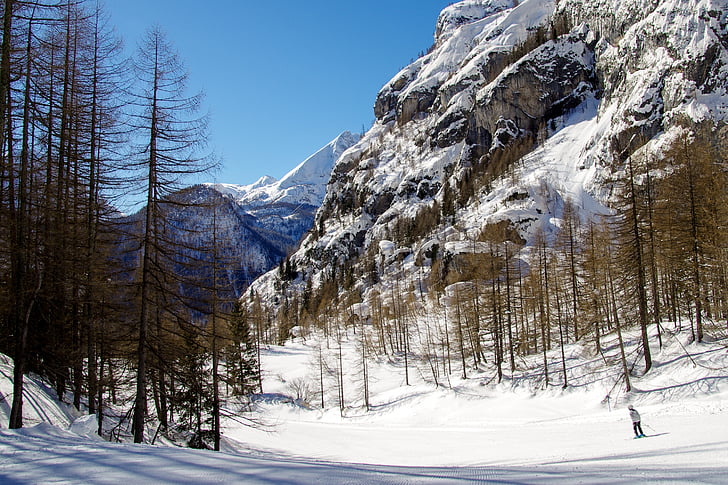 Val de zoldo, Monte civetta, Dolomites, Veneto, Belluno, Italie, Alpes