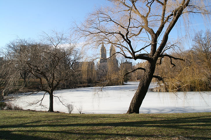 central park, New york, hiver