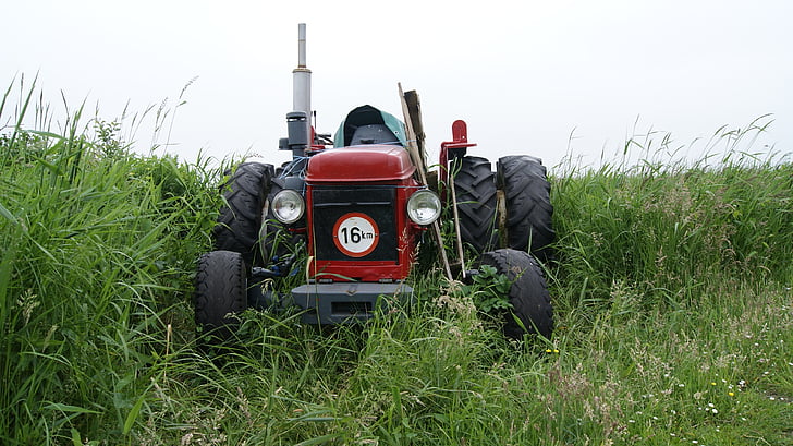 traktors, vecais, daba, skats, Nīderlande, zaļa