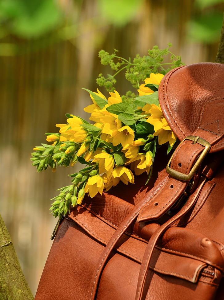 backpack, brown leather, closure, buckle, leather seam, readers were, bouquet