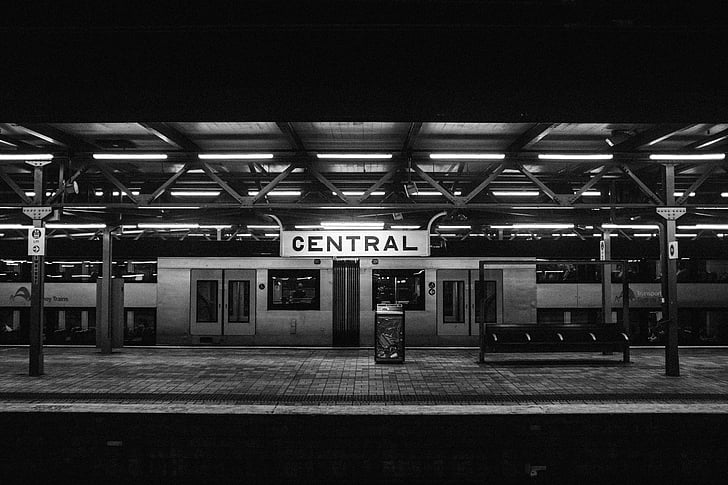 grayscale, photo, central, train, station, subway, transportation