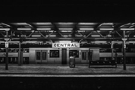 niveaux de gris, photo, central, train, station, Métro, transport