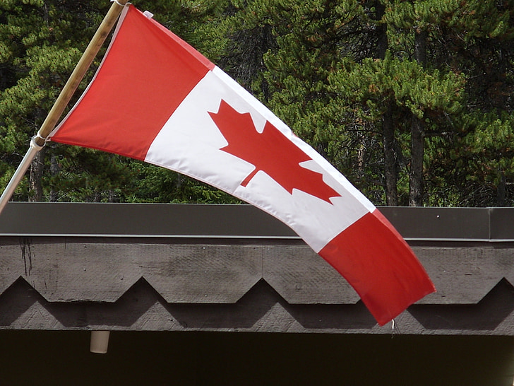 canada, canadian flag, maple leaf