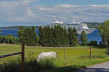 cruiseskip, skjærgården, kurset stockholm, Østersjøen, øyene, Fairway, pilot