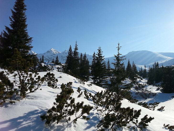 hory, Tatry, pohled