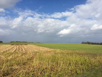 land, field, agriculture, landscape, nature, sky, clouds