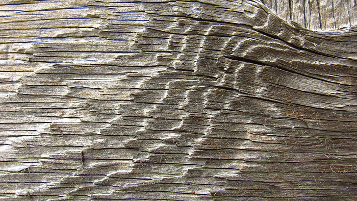 gammalt trä, styrelsen, fibrer, Grain, blekt, torr, mönster
