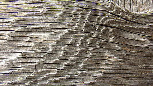 old wood, board, fibers, grain, bleached, dry, pattern