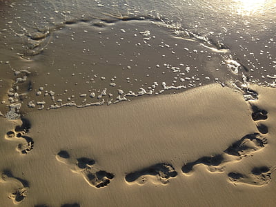 sand, footprints, water, beach, sea, ocean, coast