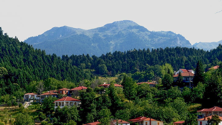 Griekenland, Karditsa, Neochori, dorp, Bergen, bos