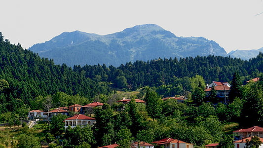 Grecia, Karditsa, Neochori, aldea, montañas, bosque