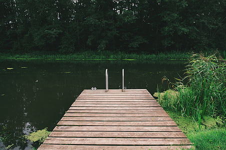 wooden pier, pond, nature, dock, green, wild, peaceful