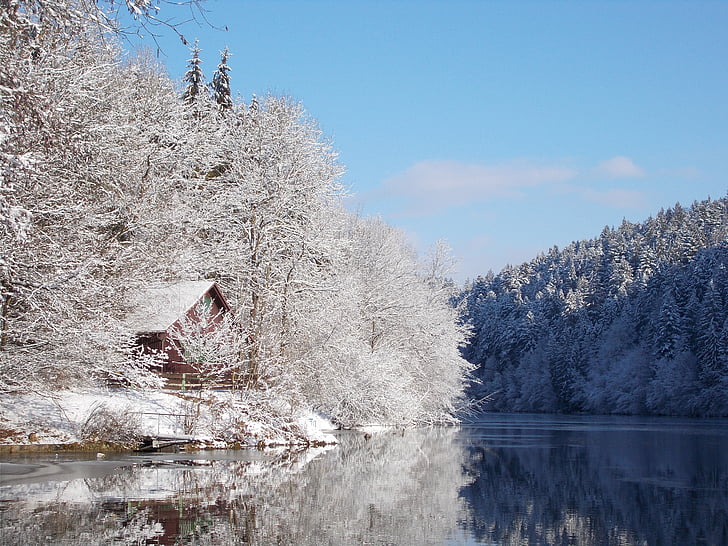 vinter, søen, landskab, natur, Tyskland, Bank