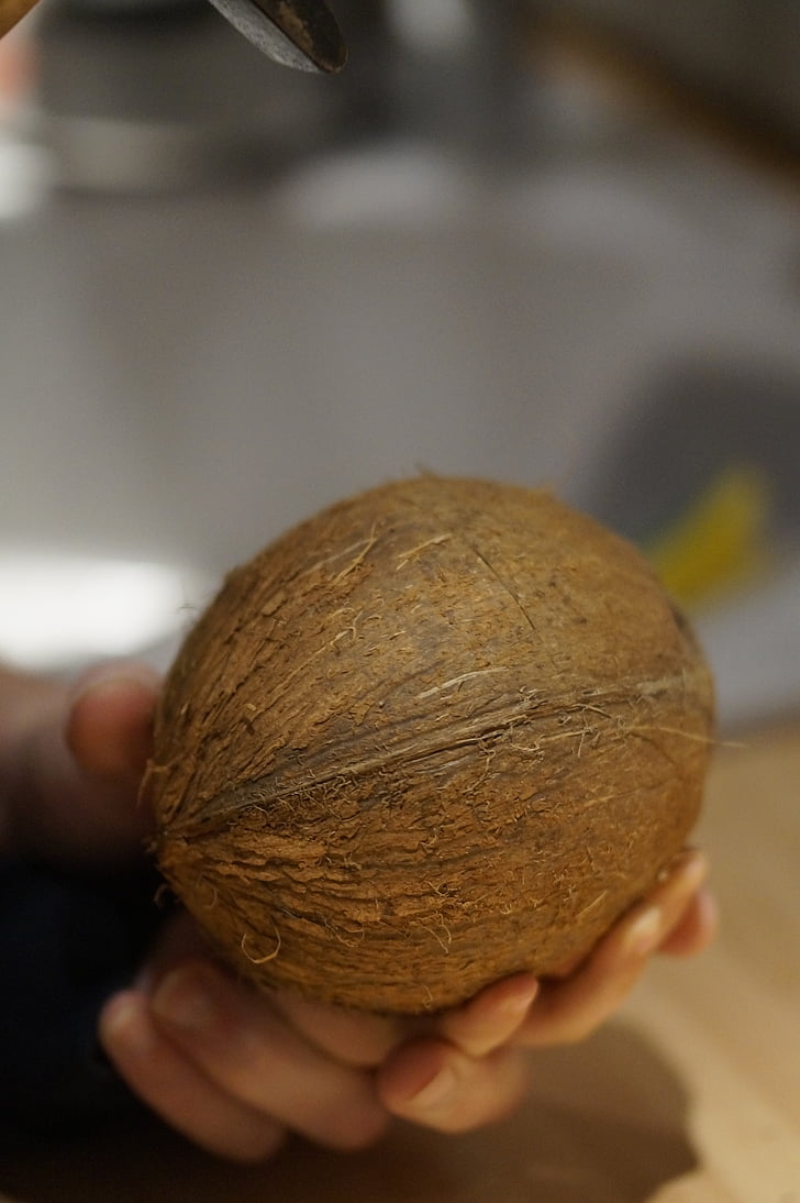 kokosnoot, detentie, houden, moer