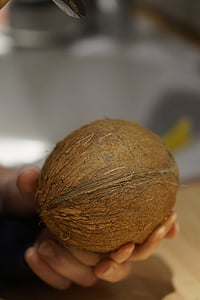 kokos, pridržanje, vztrajati, oreh