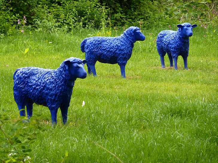 青羊, 草原, 自然, アート, ブルー, 風景, 草
