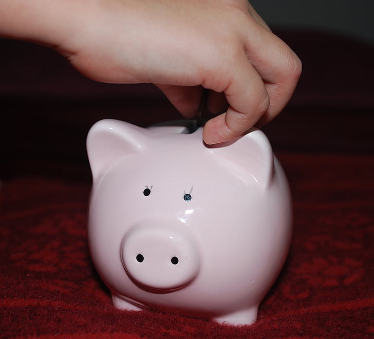 piggy bank, pig, savings, money, child, pink