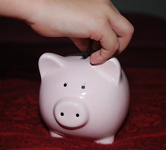 Piggy bank, varken, besparingen, geld, kind, roze