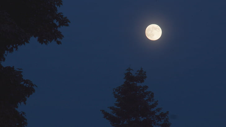 Moon, õhtul, Õhtune taevas, romantiline, öö, loodus, Moonlight
