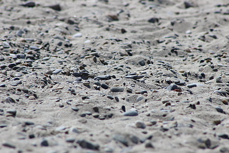 sable, pierres, plage, cailloux, arrière-plan