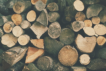 ブラック, 木材, ログ, たくさん, 森の中, 木材・素材, 木材
