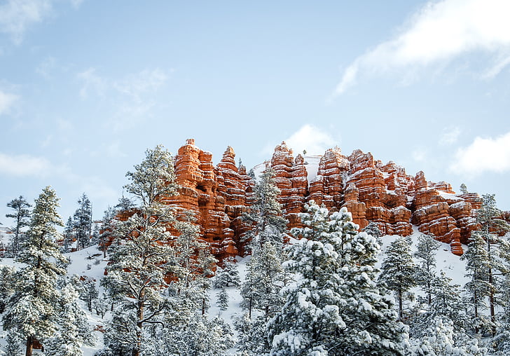 trees, snow, winter, sky, clouds, rock, formation