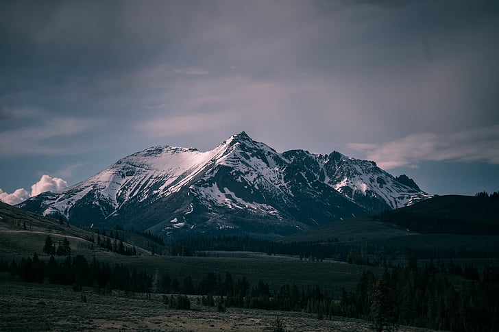 mountains, nature, trees, winter, mountain, landscape, scenics