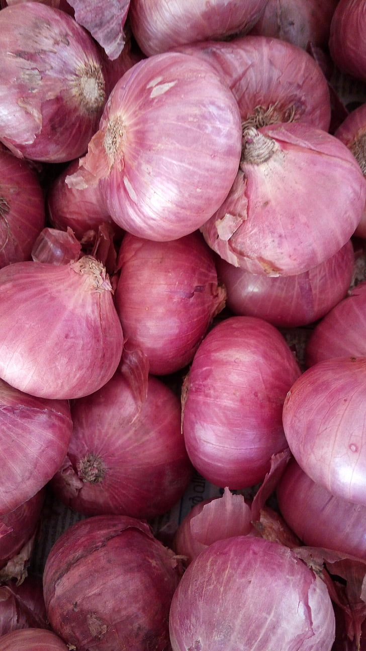 onion, vegetables, organic, agriculture, green, food, nutrition