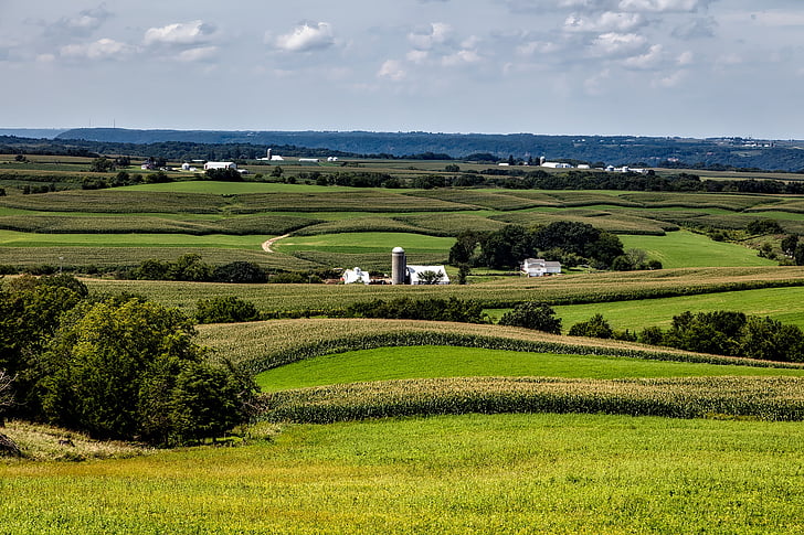 Iowa, aziende agricole, paese, rurale, paesaggio, scenico, estate