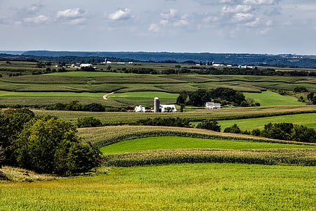 Iowa, exploitations agricoles, pays, rural, paysage, Scenic, été