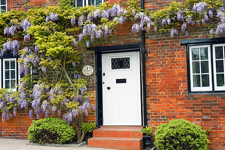 wisteria, house, red brick, old, architecture, plant, flowers