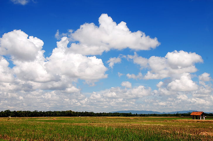pole, mrak, krajina, obloha, zemědělství, Cloud - sky, Příroda