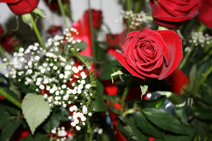 Róża, czerwone róże, kwiaty, czerwony, miłość, romans, prezent