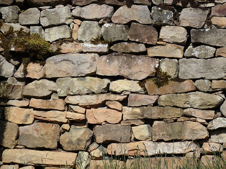 nature wall, sunlit wall, busy wall