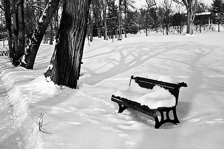 ฤดูหนาว, สวน, สีขาว, หิมะ, ม้านั่ง, หนาว, สดใส