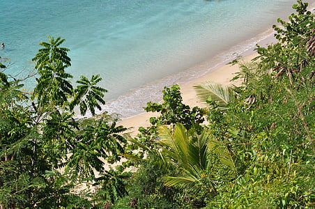 turkoois, water, Puerto Rico, palmen, zee, strand, zand