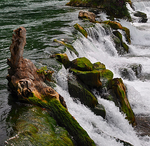 Cachoeira, Cataratas do Reno, Reno, Schaffhausen, Suíça, água, respingo