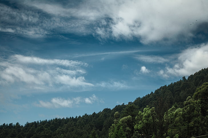 clouds, forest, nature, sky, trees, mountain, outdoors