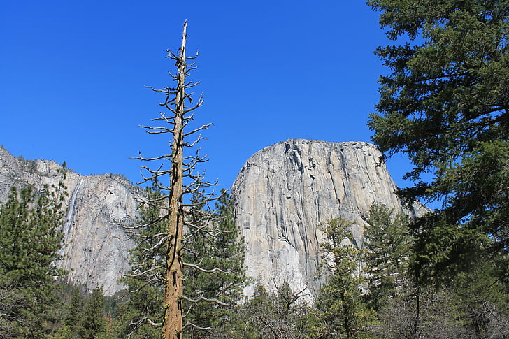 El capitan, Yosemite, Verenigde Staten, Californië, nationale, natuur, landschap