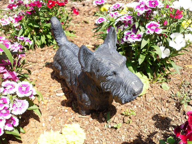 terrier, bronze, statue, scottish, scottie, dog, flowers