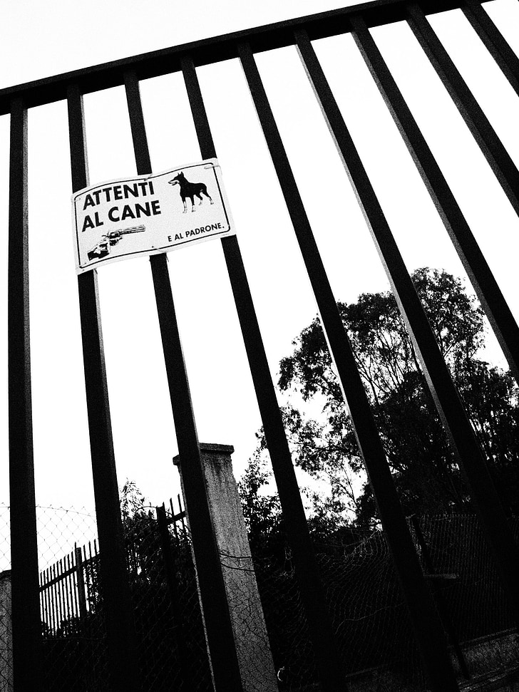Gate, signal, hund, sort og hvid