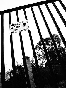 ворота, сигнал, собака, черный и белый