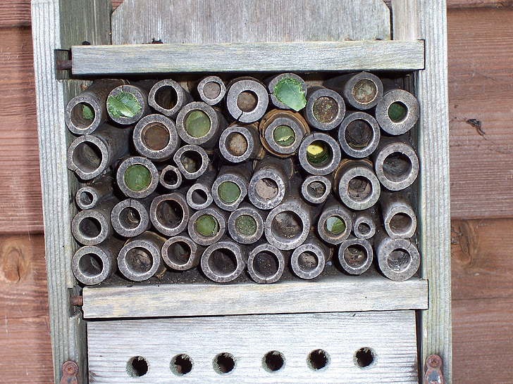 insect house, leaf-cutter bees, mason bees, leaf, leaves, mud, wood