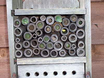 hyönteisten house, Leaf-leikkuri mehiläisten, Mason mehiläiset, lehti, lehdet, muta, puu