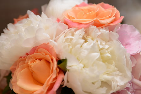 flowers, wedding, bouquet, wedding flowers, marriage, bridal, rose - Flower