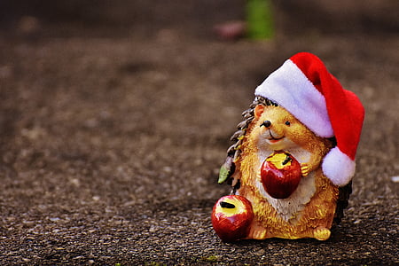 ežys, paveikslas, Kalėdos, Santa skrybėlę, apdaila, juokingas, gyvūnų