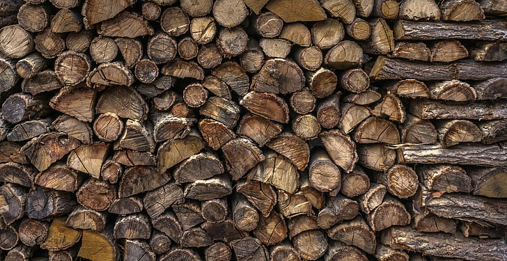 wood, log, firewood, annual zone, circle, usd, pattern