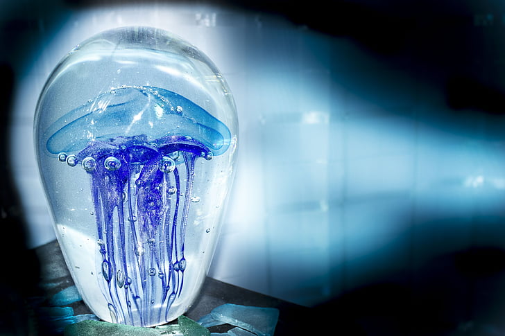 jellyfish, blue, glass, water, aquarium, creature, underwater