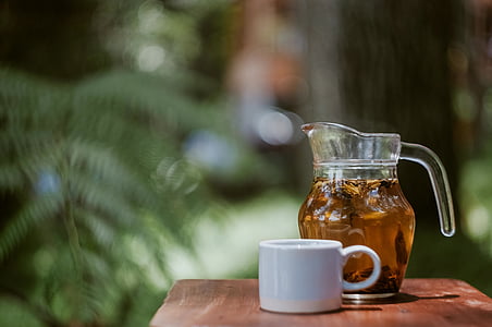 cup, mug, trees, leaves, nature, table, tea