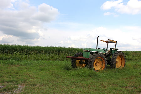 traktor, felt, Farm, landmand, landbrug, landbrug, udstyr
